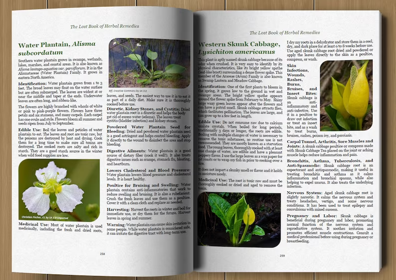 The Lost Book of Herbal Remedies